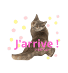 フクちゃんの気ままな1日（個別スタンプ：14）
