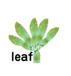 豆 beans（個別スタンプ：5）