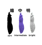 豆 beans（個別スタンプ：8）