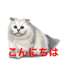 猫たちの主張（個別スタンプ：2）