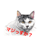 猫たちの主張（個別スタンプ：10）