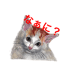 猫たちの主張（個別スタンプ：14）