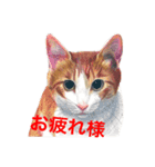 猫たちの主張（個別スタンプ：15）