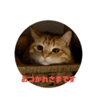 だって、なっちゃんだもん。（個別スタンプ：1）