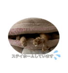 だって、なっちゃんだもん。（個別スタンプ：3）