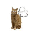 だって、なっちゃんだもん。（個別スタンプ：5）