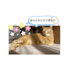 だって、なっちゃんだもん。（個別スタンプ：6）