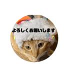 だって、なっちゃんだもん。（個別スタンプ：8）