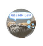 だって、なっちゃんだもん。（個別スタンプ：9）