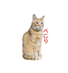 だって、なっちゃんだもん。（個別スタンプ：11）