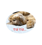 だって、なっちゃんだもん。（個別スタンプ：12）