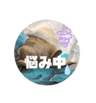 だって、なっちゃんだもん。（個別スタンプ：14）