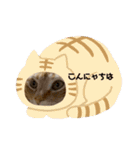 だって、なっちゃんだもん。（個別スタンプ：16）