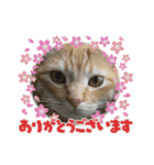 だって、なっちゃんだもん。（個別スタンプ：19）