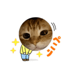 だって、なっちゃんだもん。（個別スタンプ：20）