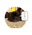 アサヒーローのスタンプ（個別スタンプ：5）