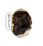 アサヒーローのスタンプ（個別スタンプ：6）