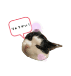 きっぺい24★①（個別スタンプ：3）