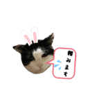 きっぺい24★①（個別スタンプ：6）
