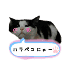 きっぺい24★①（個別スタンプ：12）