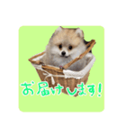 エールbabyの日常（個別スタンプ：1）