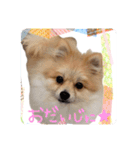 エールbabyの日常（個別スタンプ：2）