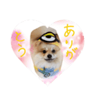 エールbabyの日常（個別スタンプ：4）