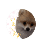 エールbabyの日常（個別スタンプ：7）