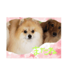エールbabyの日常（個別スタンプ：8）