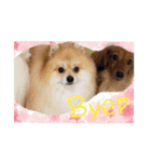 エールbabyの日常（個別スタンプ：9）