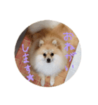 エールbabyの日常（個別スタンプ：11）