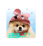 エールbabyの日常（個別スタンプ：17）