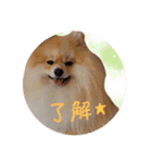 エールbabyの日常（個別スタンプ：18）