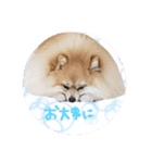エールbabyの日常（個別スタンプ：20）