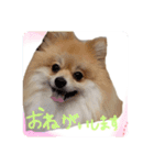 エールbabyの日常（個別スタンプ：21）