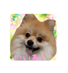 エールbabyの日常（個別スタンプ：22）