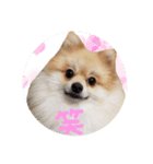 エールbabyの日常（個別スタンプ：23）