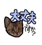 ねことていねい気味なことば（個別スタンプ：7）