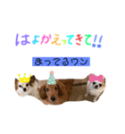 だいまめらっきースタンプ（個別スタンプ：3）