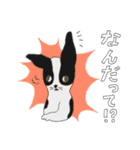 白黒のダンちゃん（個別スタンプ：33）