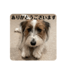 Einy in Tokyo 改良版 40種類（個別スタンプ：23）