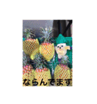 パイナッポロン2（個別スタンプ：13）