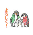 ペンギンの そらくん てんくん（個別スタンプ：3）