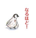 ペンギンの そらくん てんくん（個別スタンプ：25）