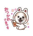癒しのチワワスタンプ♡  勢揃い♪（個別スタンプ：5）