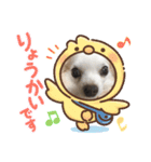 癒しのチワワスタンプ♡  勢揃い♪（個別スタンプ：8）