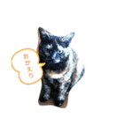 miciトGabu（個別スタンプ：9）