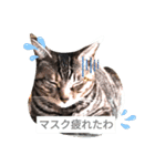 miciトGabu（個別スタンプ：16）