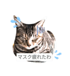 ガブとミチ（個別スタンプ：1）