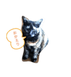 ガブとミチ（個別スタンプ：8）